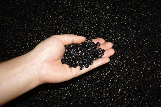 vegetarian burrito with black beans and vegetables